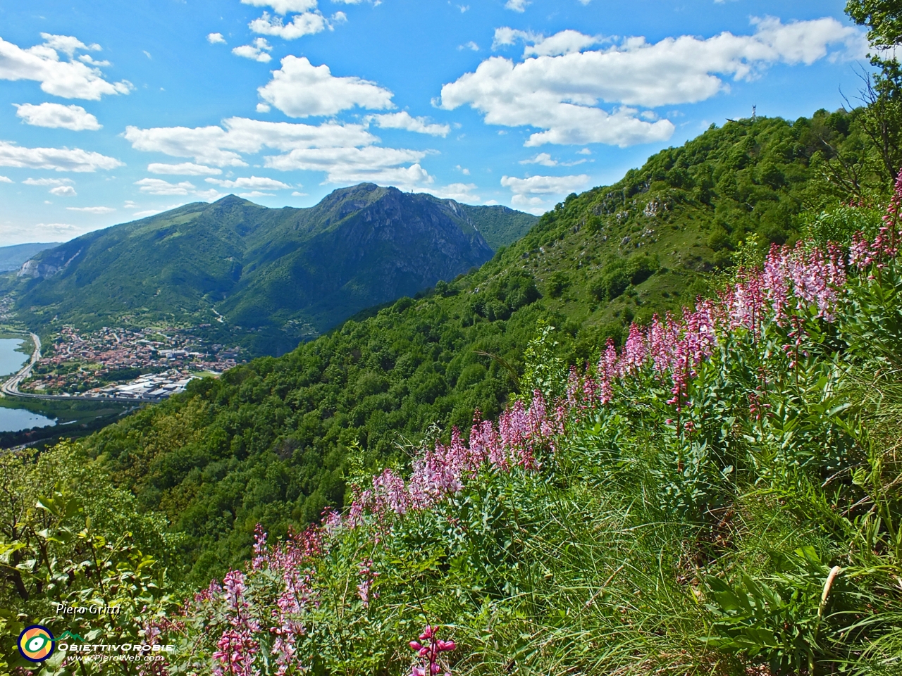 83 sui fianchi della montagna....JPG